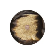 prima-finnabair-farba-30ml-liquid-acrylic-burnt-sienna (1).jpg