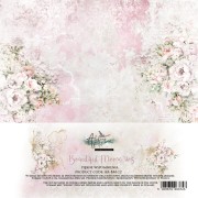 AA-BM-12 COVER.jpg