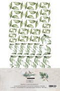 AA-LEAVES-01 COVER.jpg