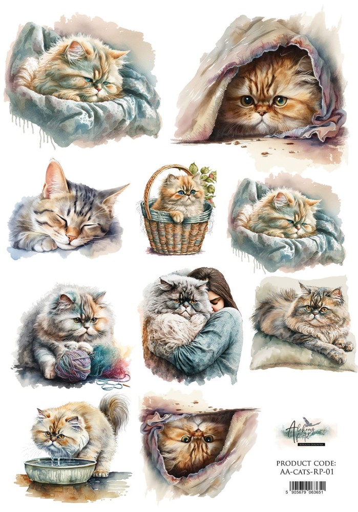 aa-cats-rp-01a.jpg