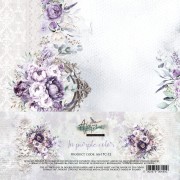 AA-IPC-12 COVER.jpg