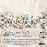 AA-ISB-12 COVER.jpg