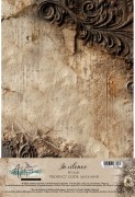 AA-IS-A4-01 COVER.jpg