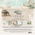 AA-WA-08_COVER.jpg
