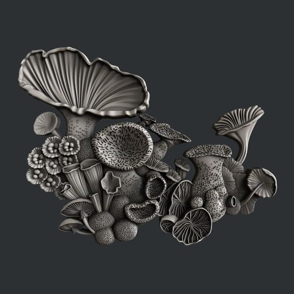 Mushroom-Bloom-4.jpg