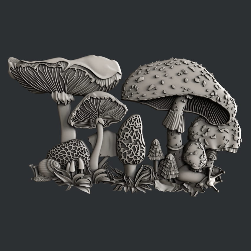 Enchanted-Mushrooms.jpg